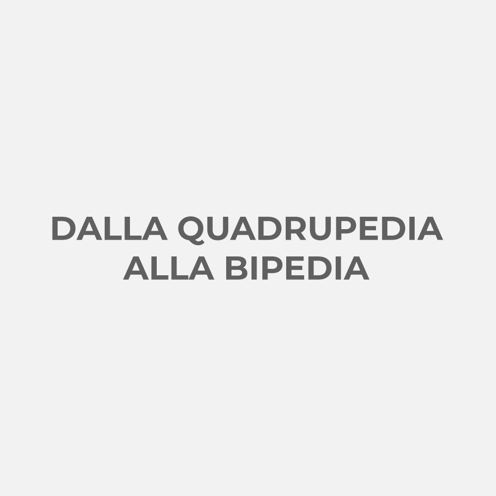 DALLA QUADRUPEDIA ALLA BIPEDIA